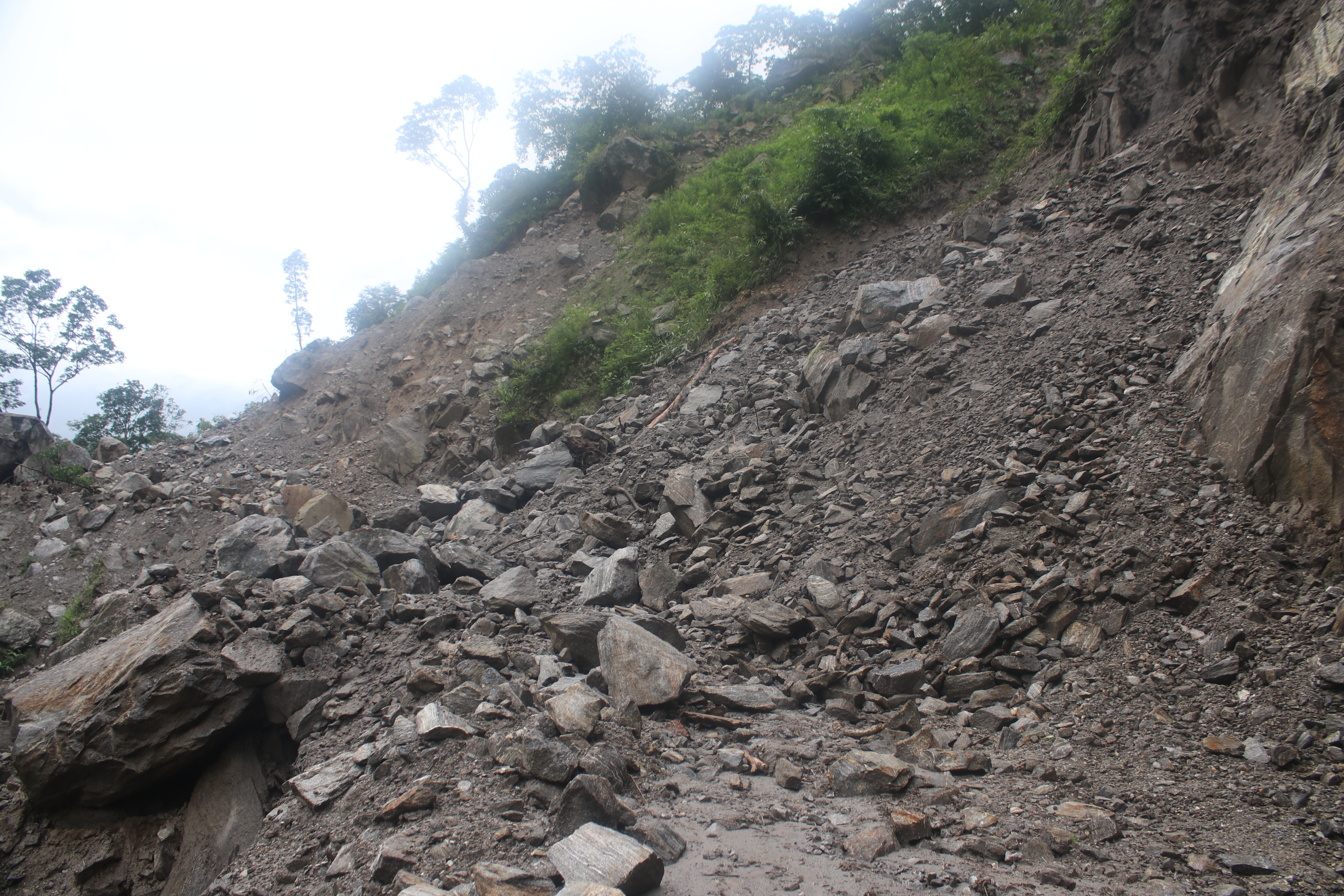 taplejung