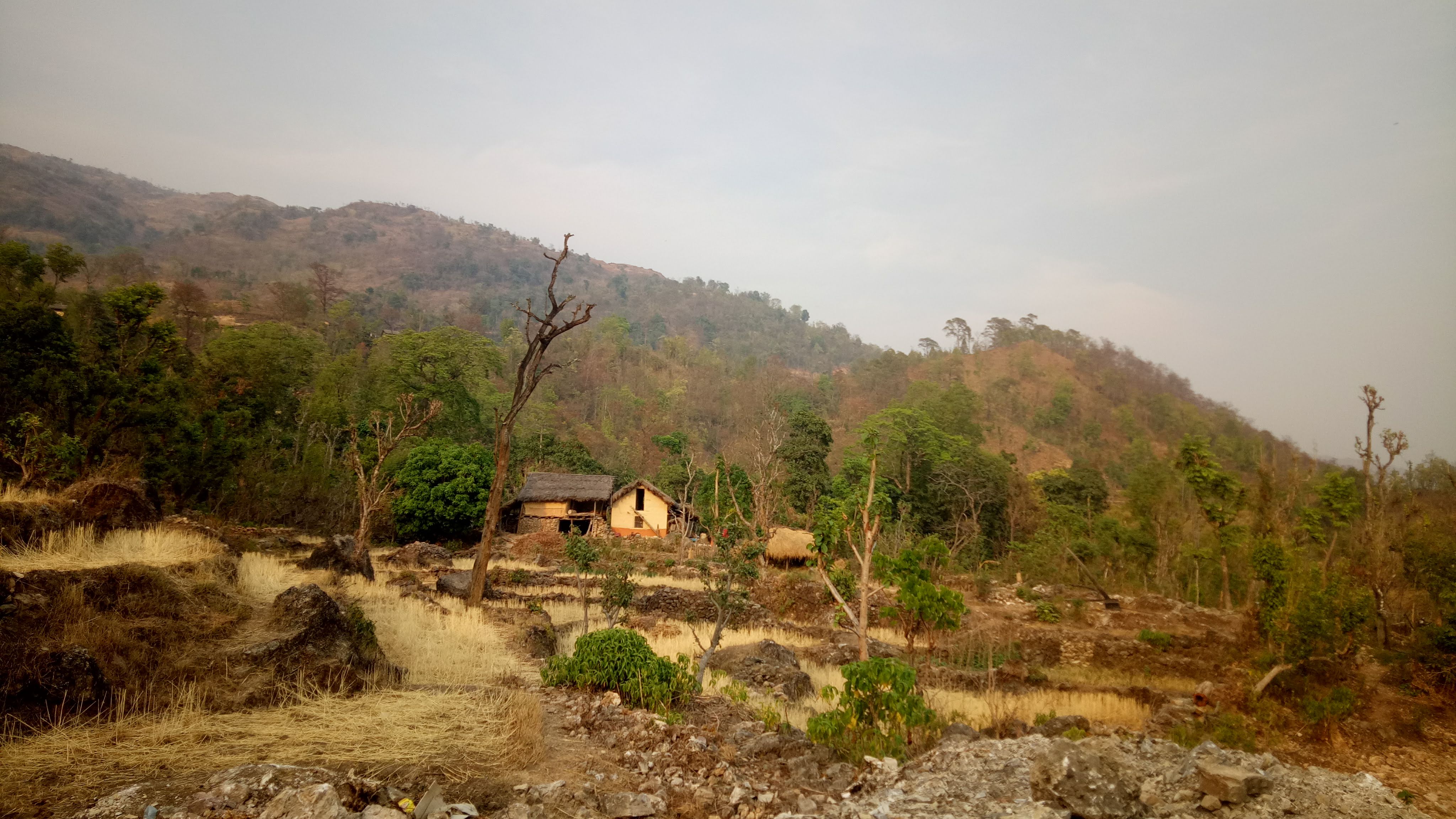 Photo10082024Surkhet5