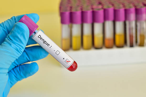 Blood sample positive with dengue virus
