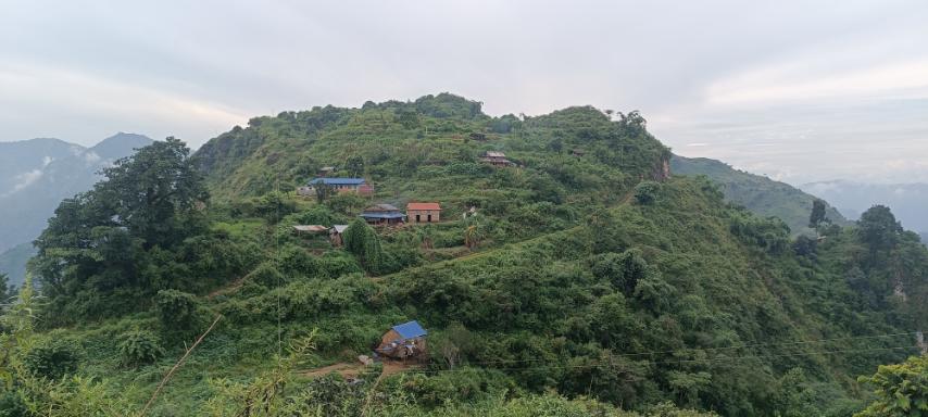 photo20240918dhading (4)