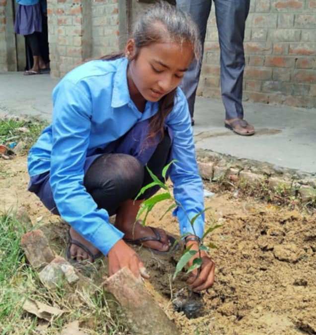 Photo 20241123 Saptari (5)