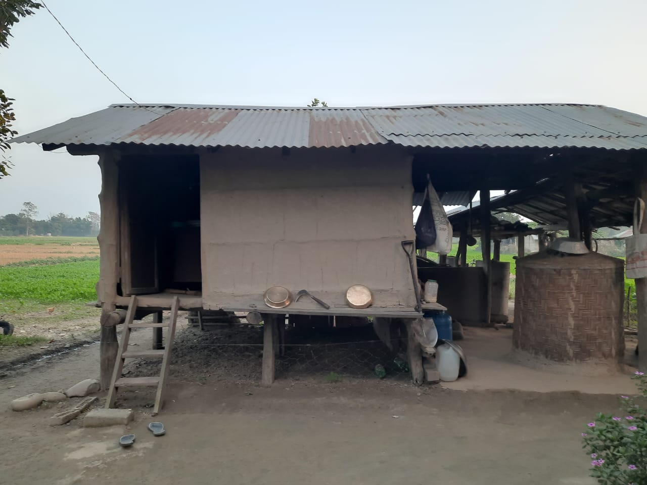 Photo24112024Bardiya