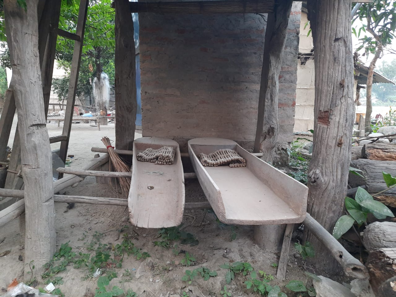 Photo24112024Bardiya1