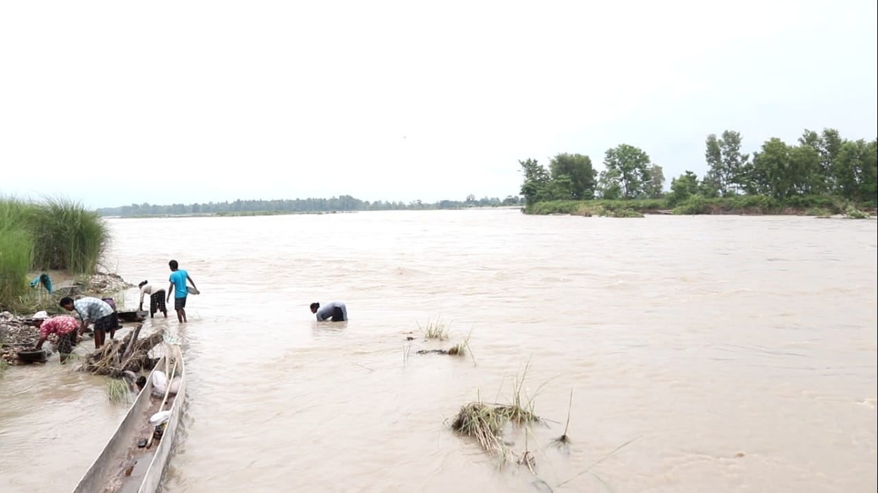 Photo24112024Bardiya8