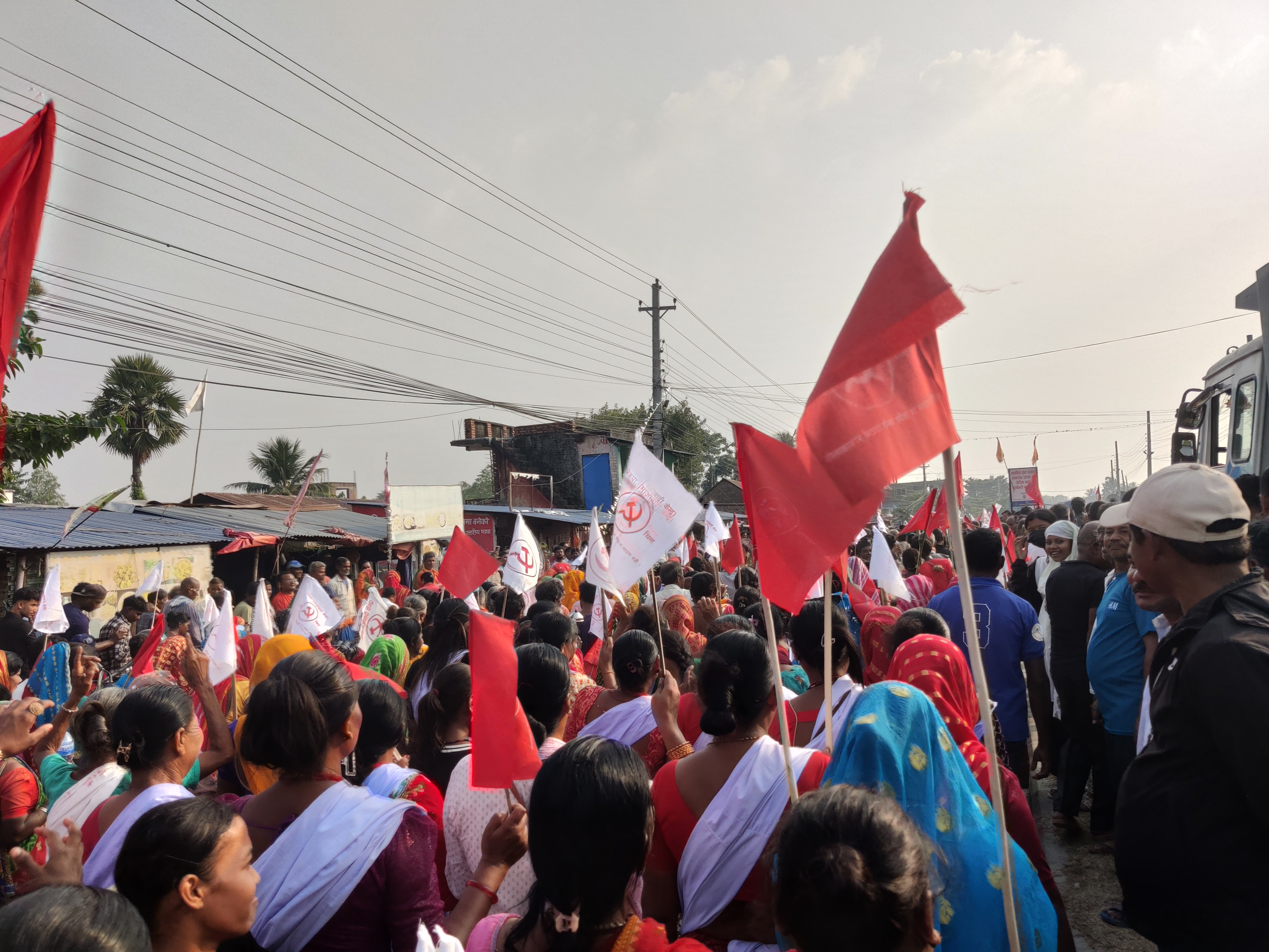 photo 202411017 Morang (102)