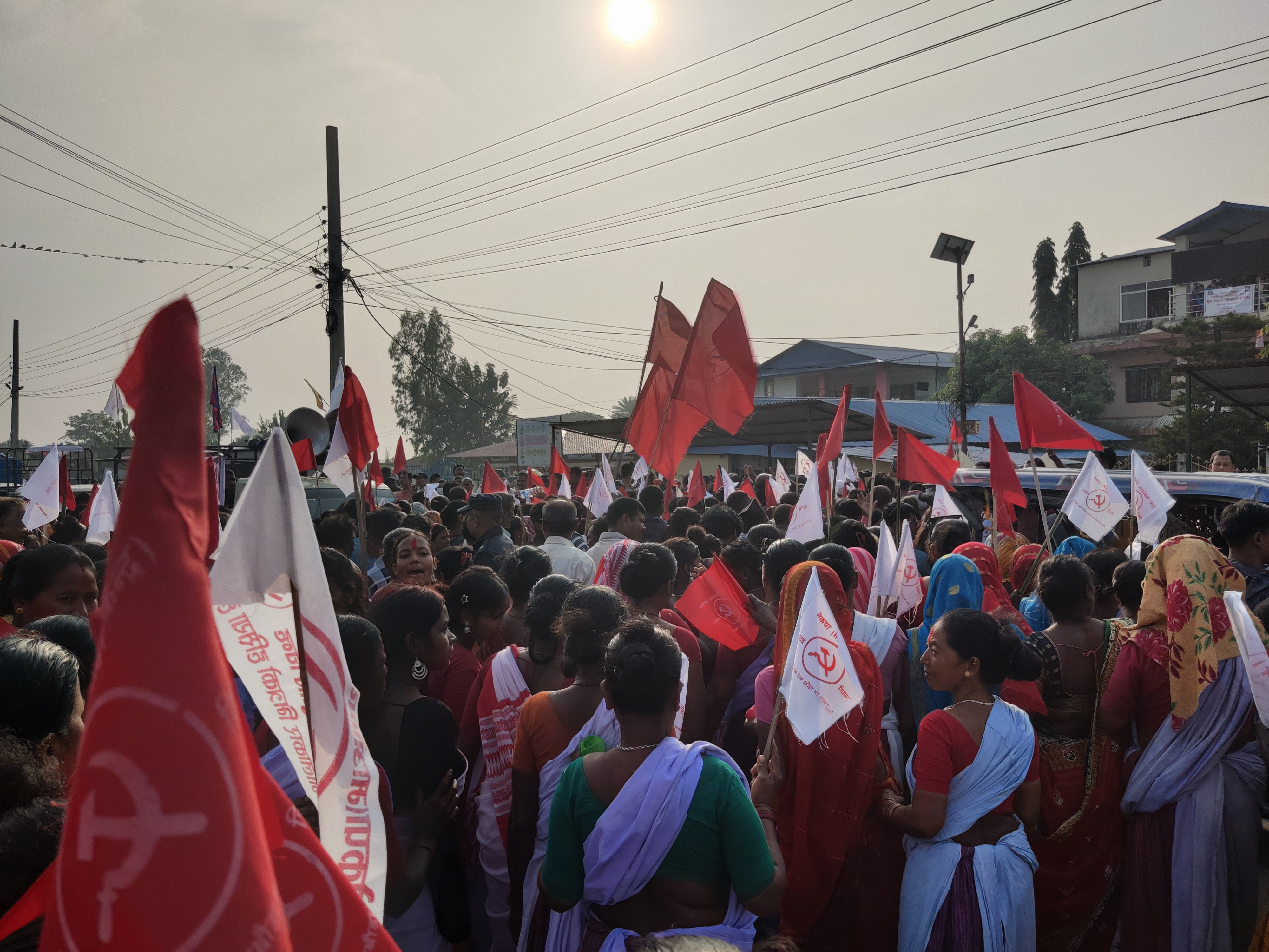 photo 202411017 Morang (113)