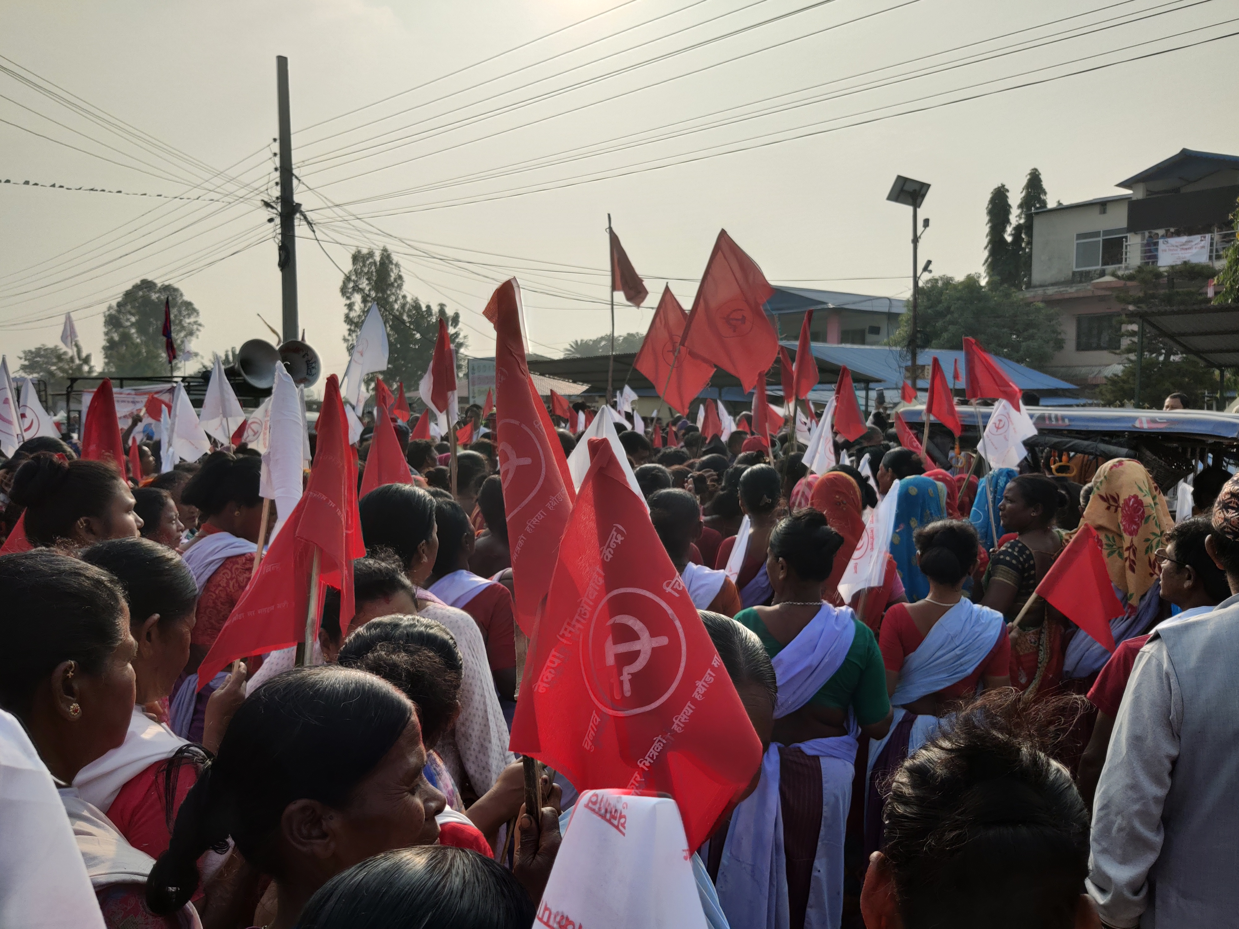 photo 202411017 Morang (114)