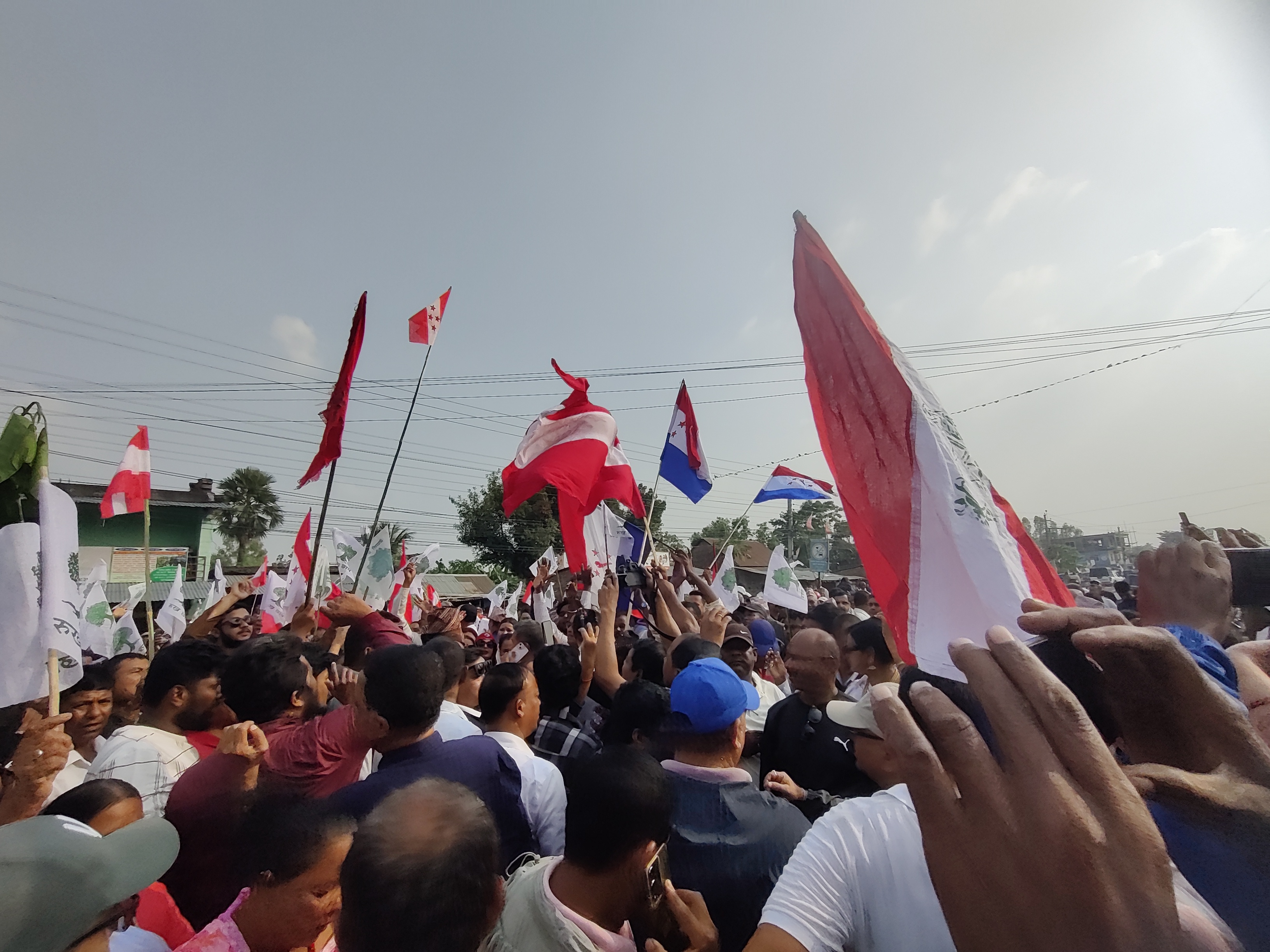 photo 202411017 Morang (75)