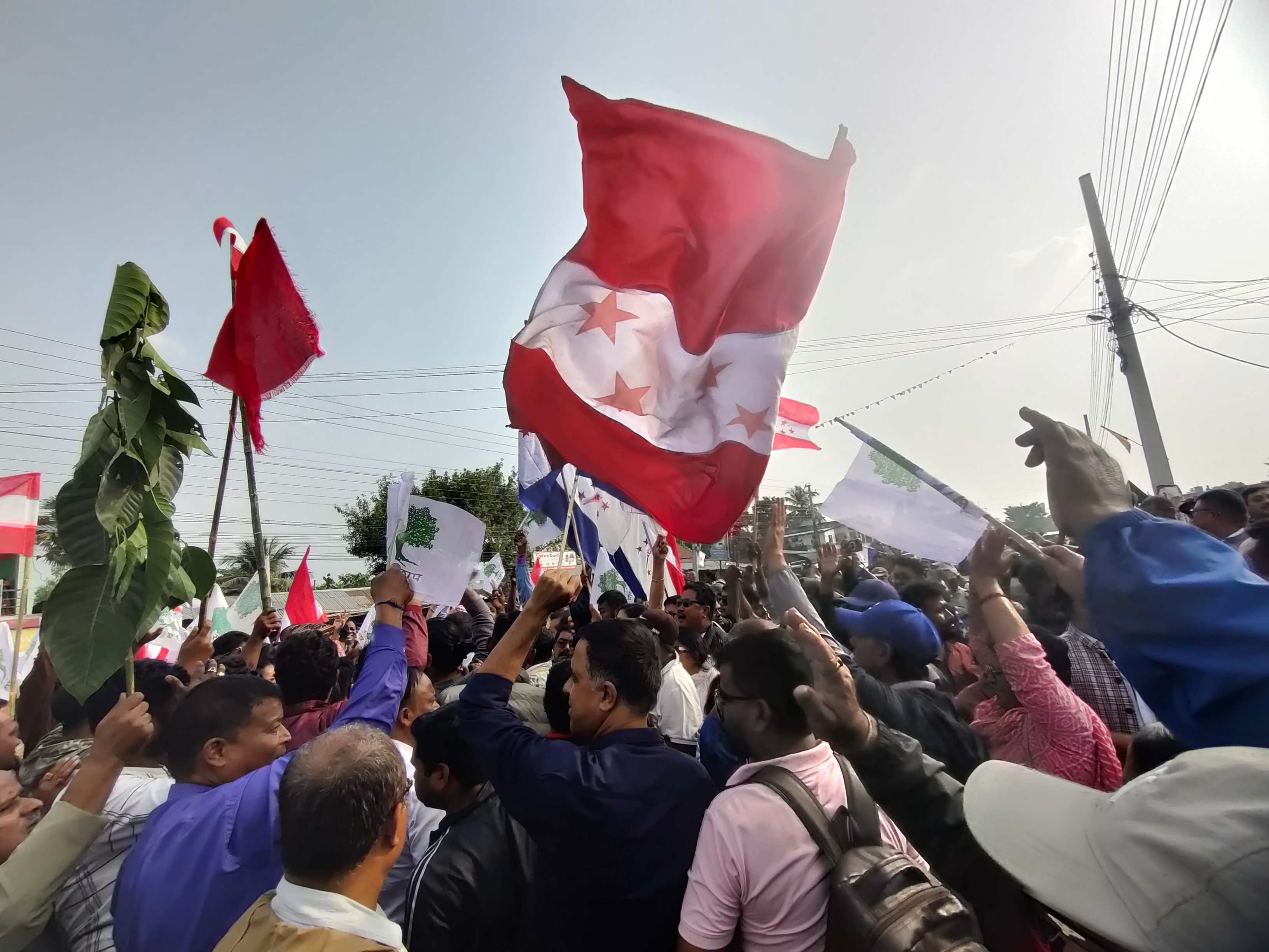 photo 202411017 Morang (79)