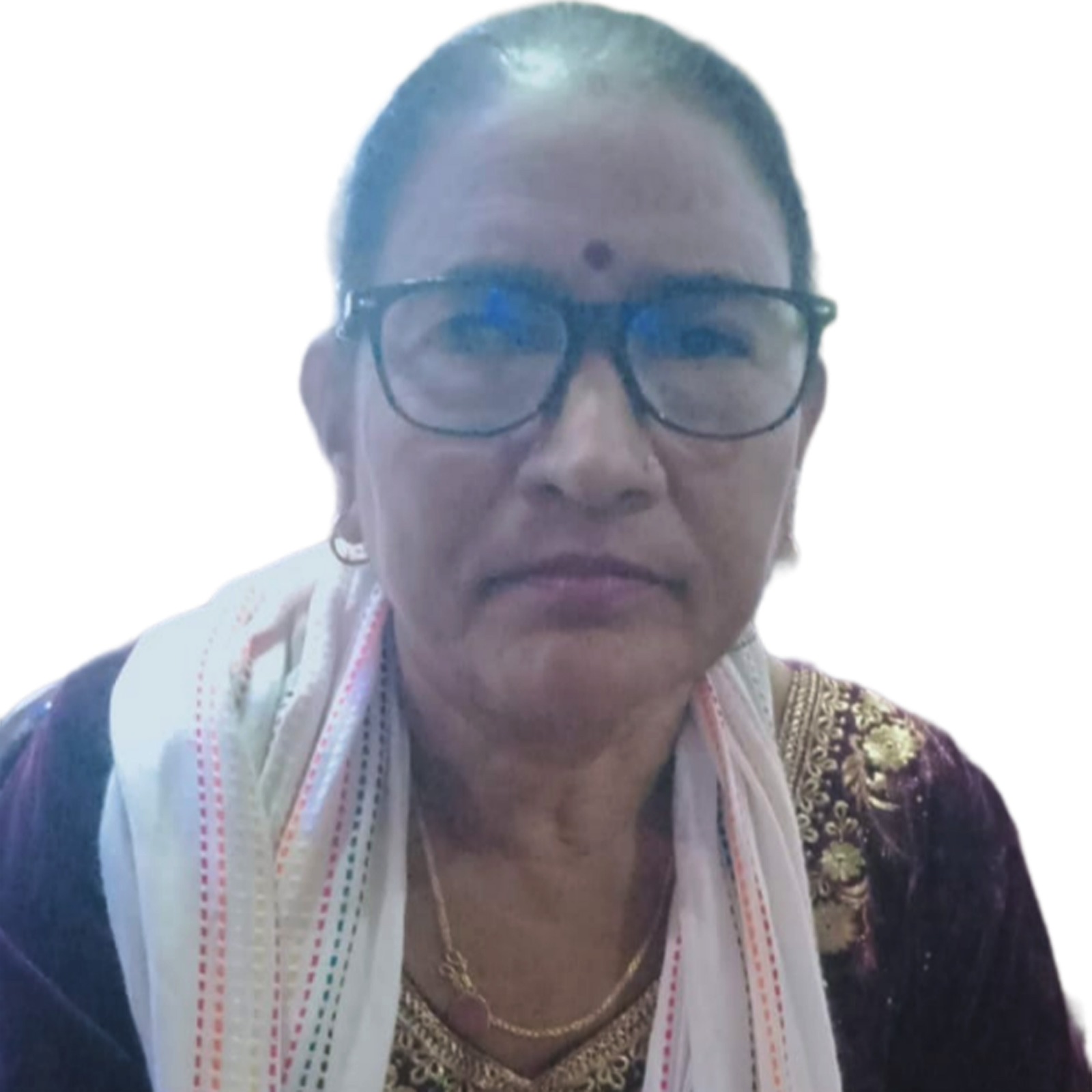 photo20241104देवसरा अोली (4)