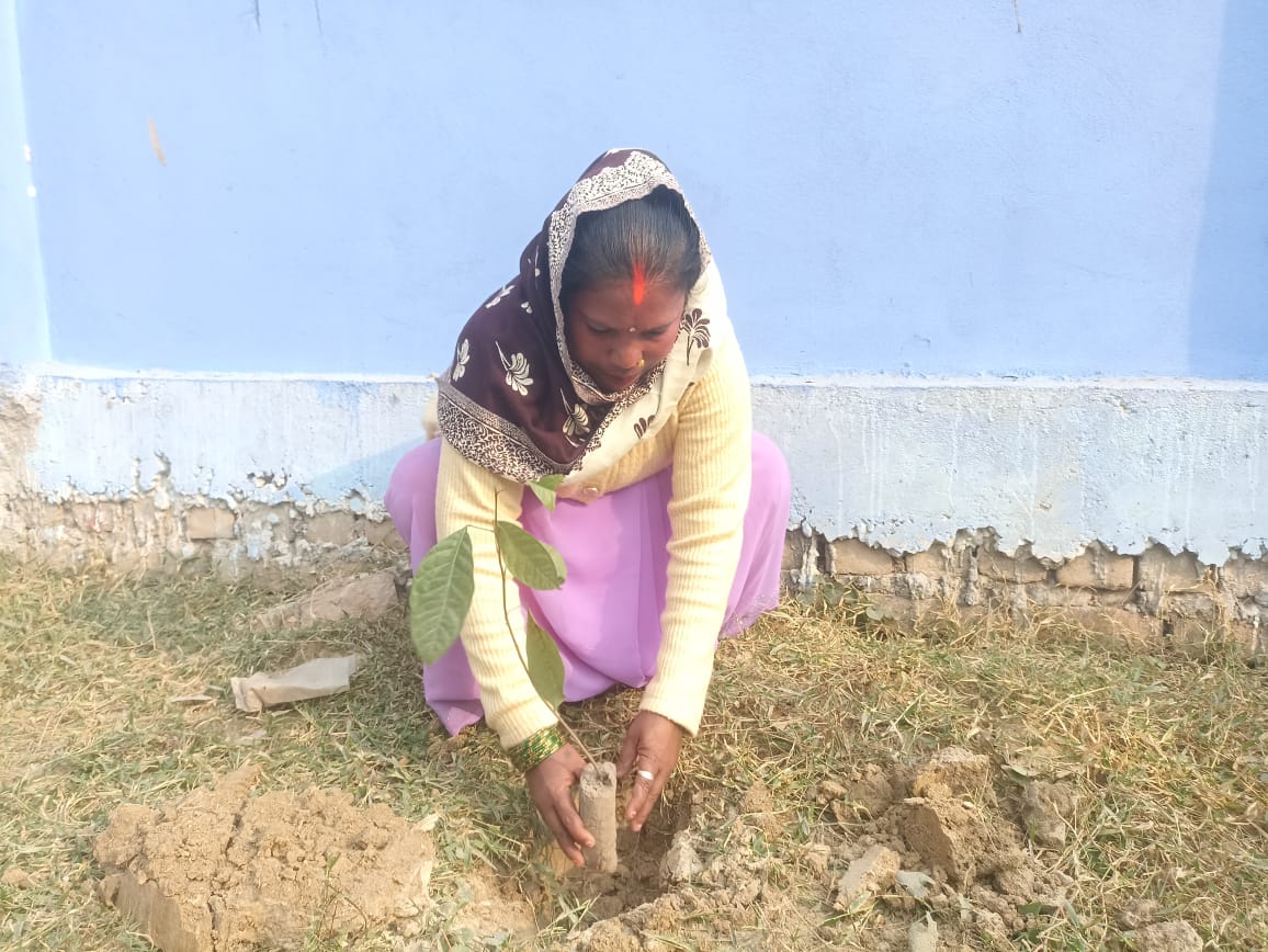 Photo 20241212 Saptari (3)