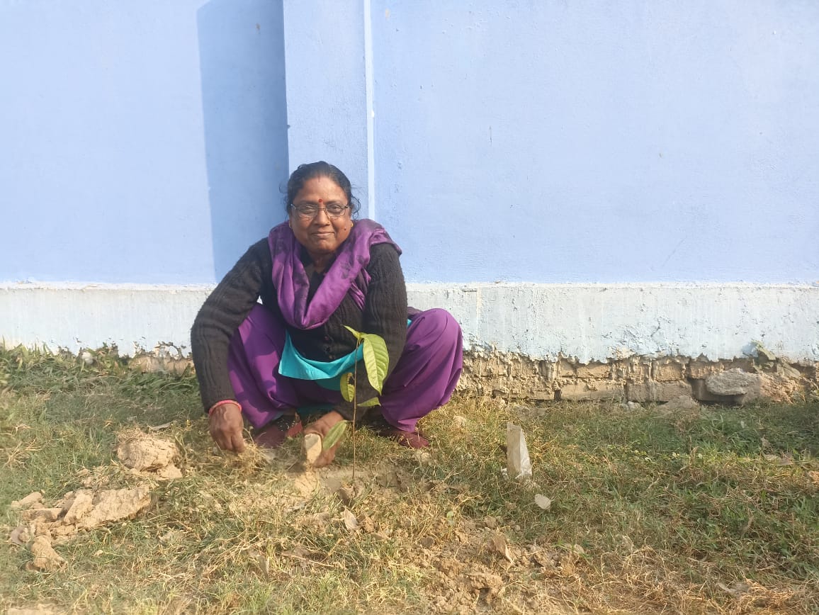 Photo 20241212 Saptari (6)