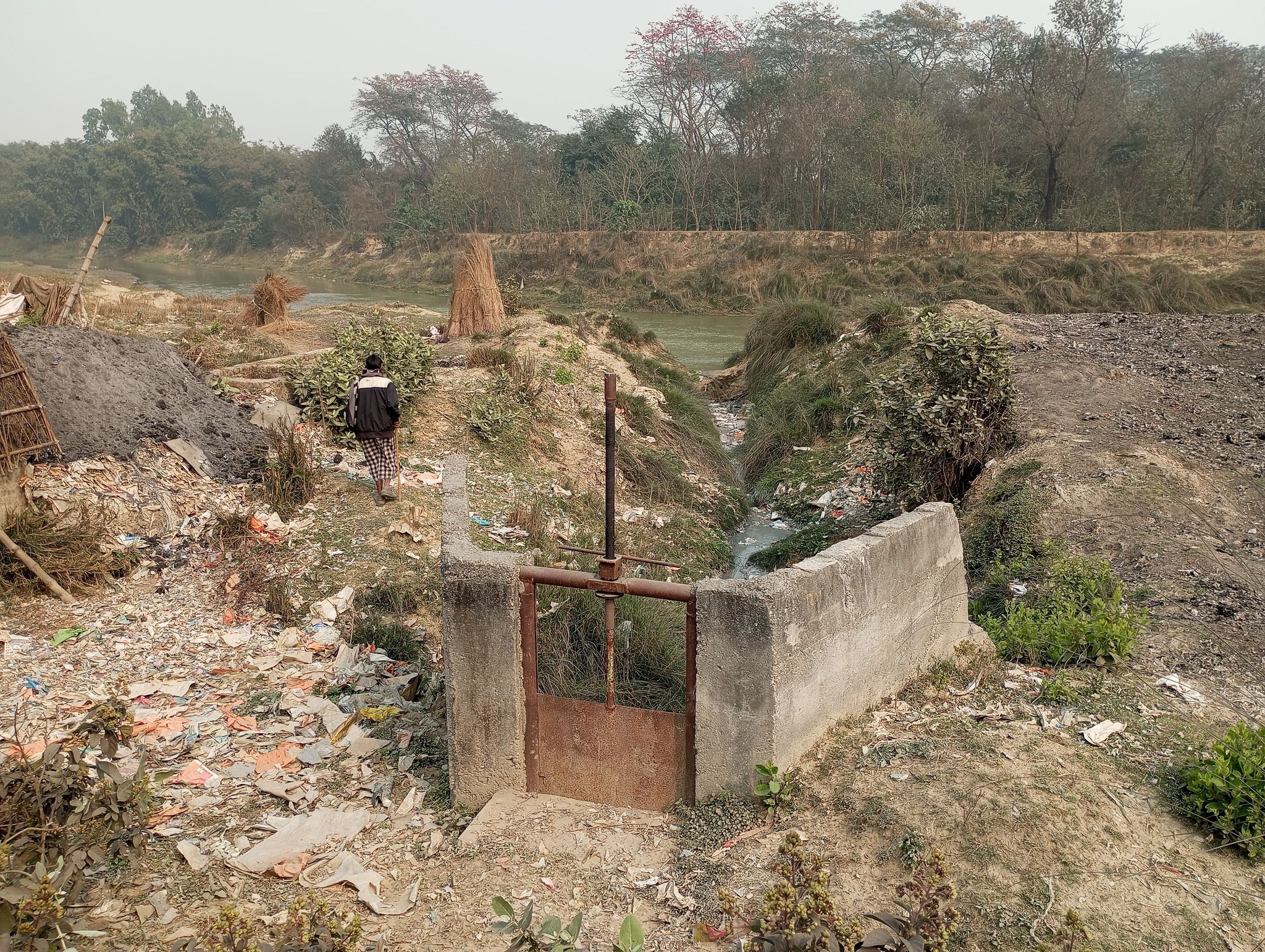 photo 20250216 sunsari (1)