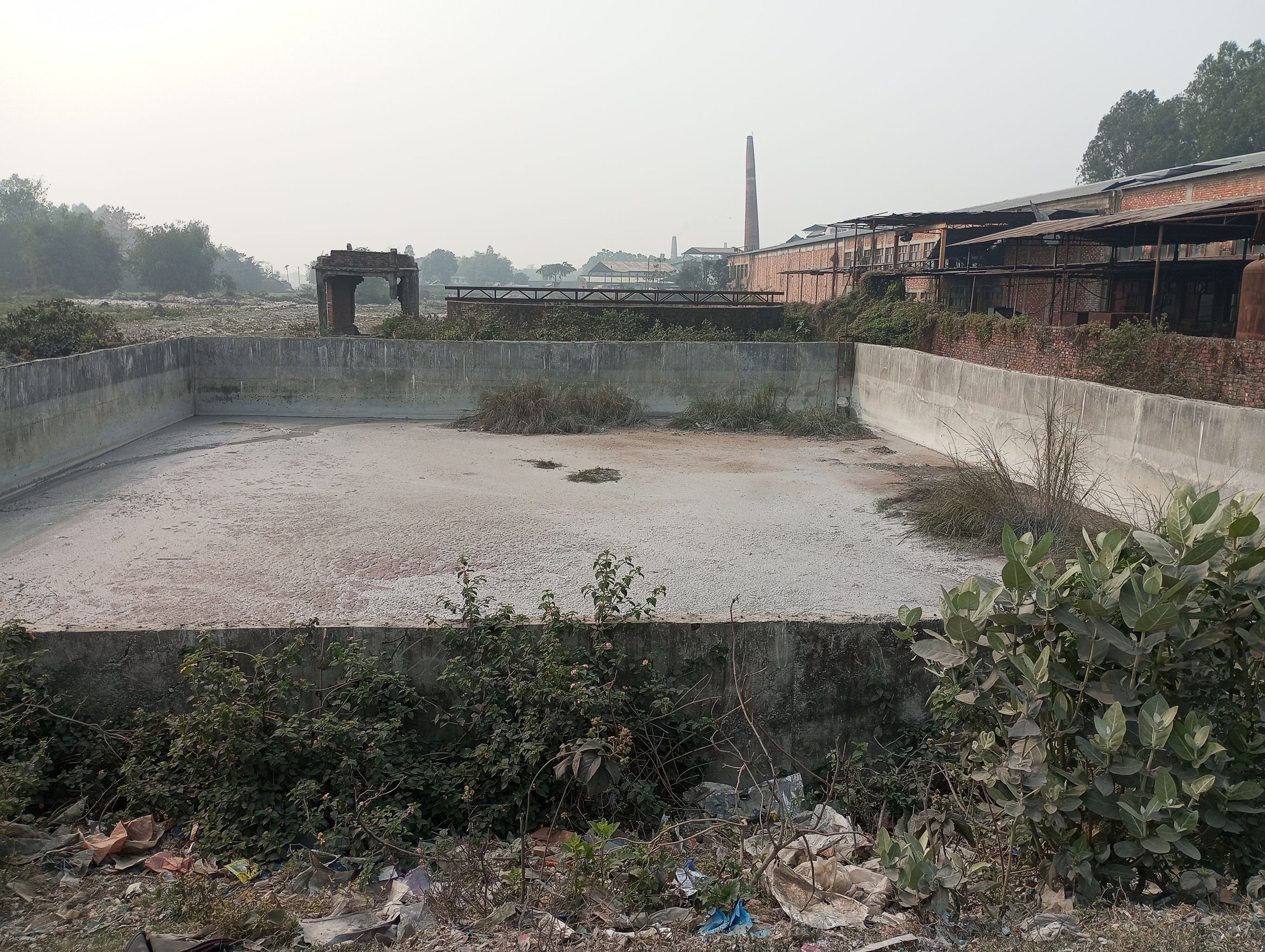 photo 20250216 sunsari (2)