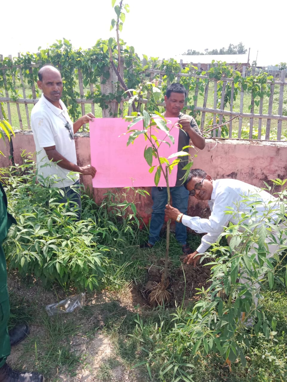 Photo 20250609 Saptari (2)