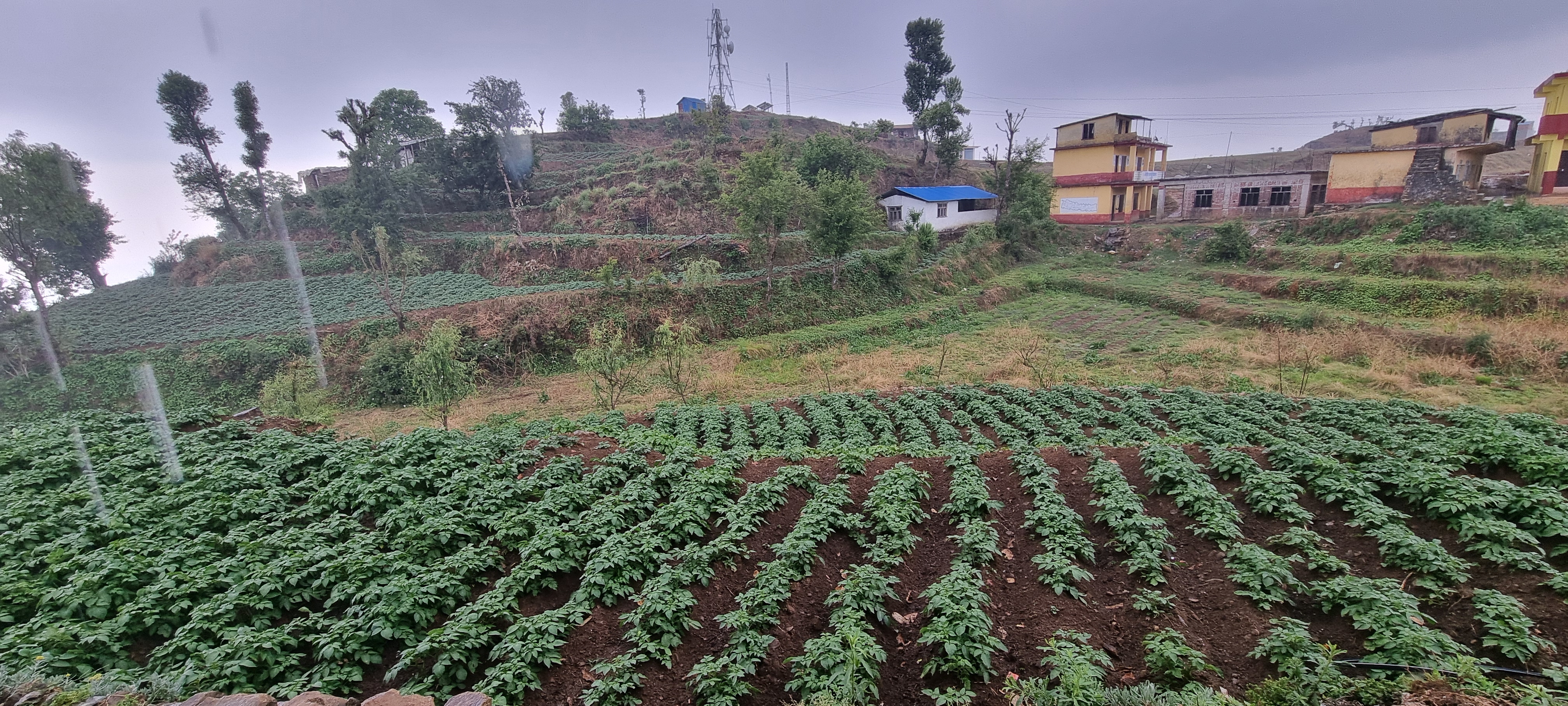 Photo02062025Salyan