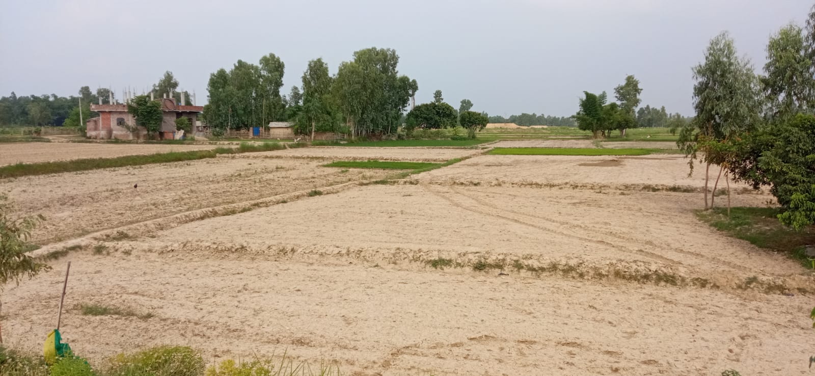 Mahottari Photo