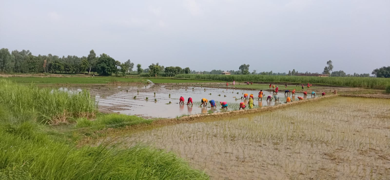 Mahottari Photo.jpg 1