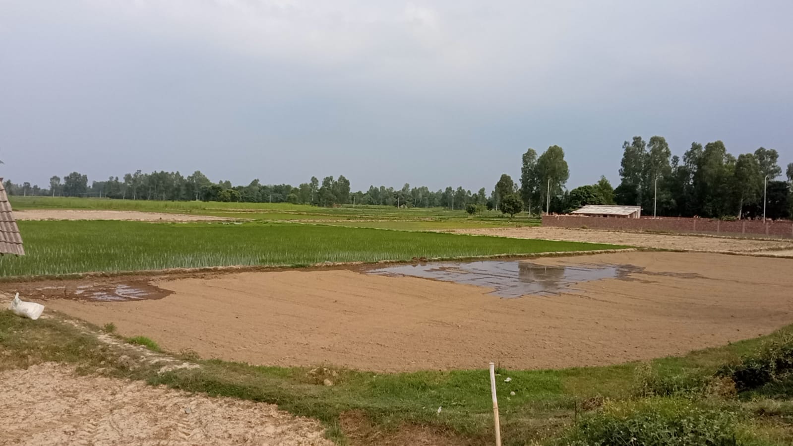 Mahottari Photo.jpg 2