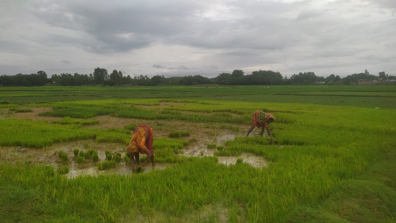 Saptari Photo 2