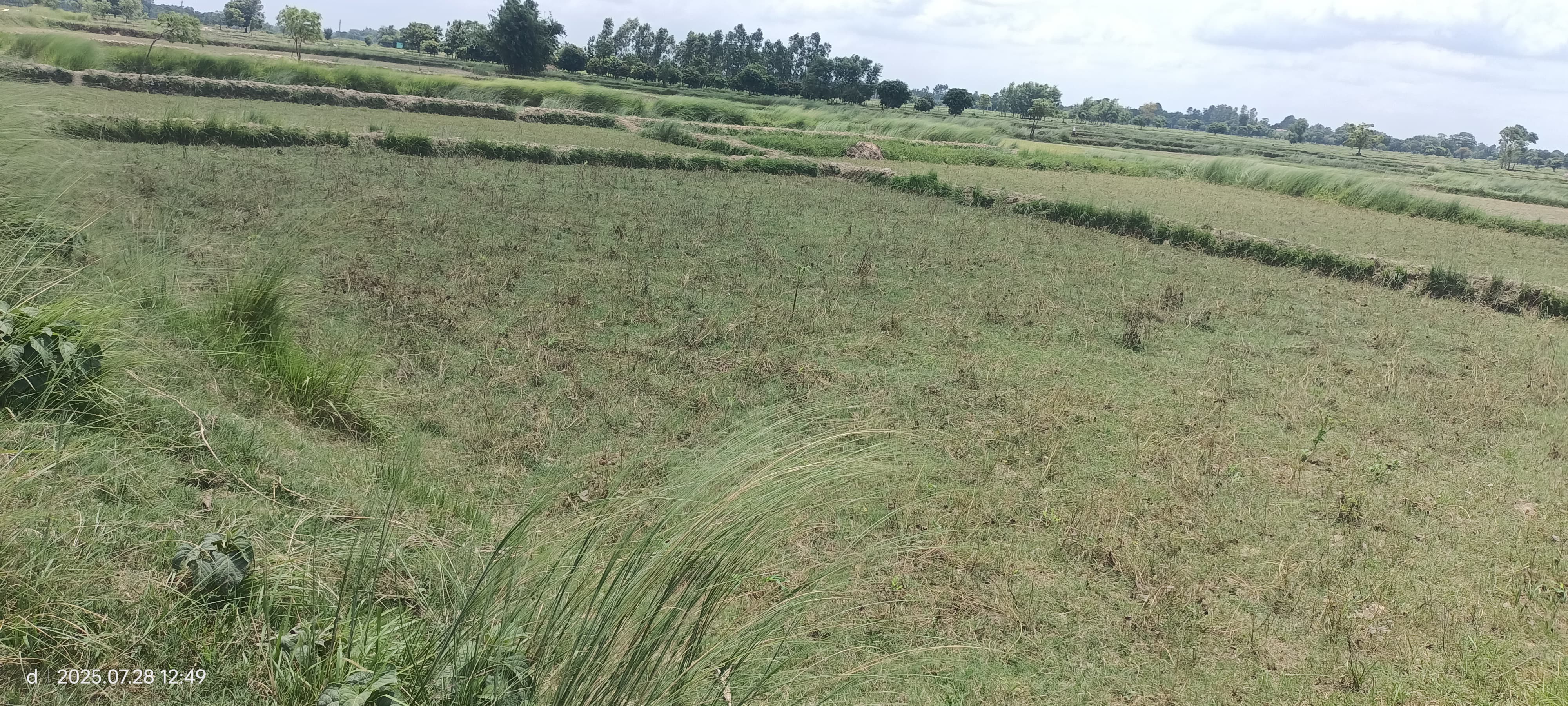 Siraha photo
