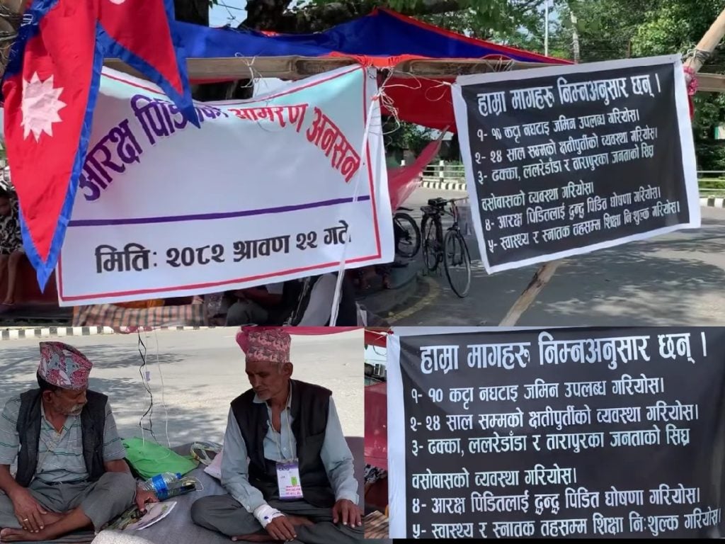Photo 2025-08-18 Kanchanpur (3)